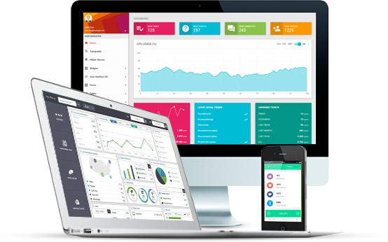 Developing Custom Softwarem