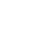 Insurance Icons