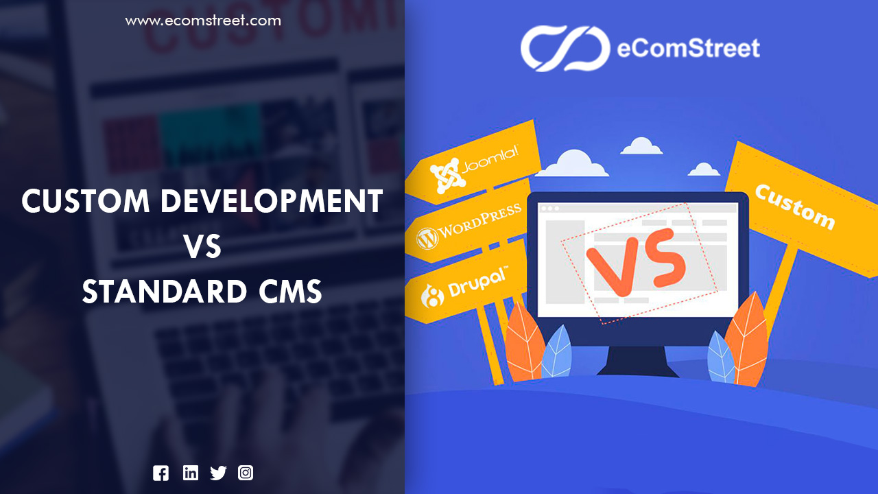 standard cms custom development