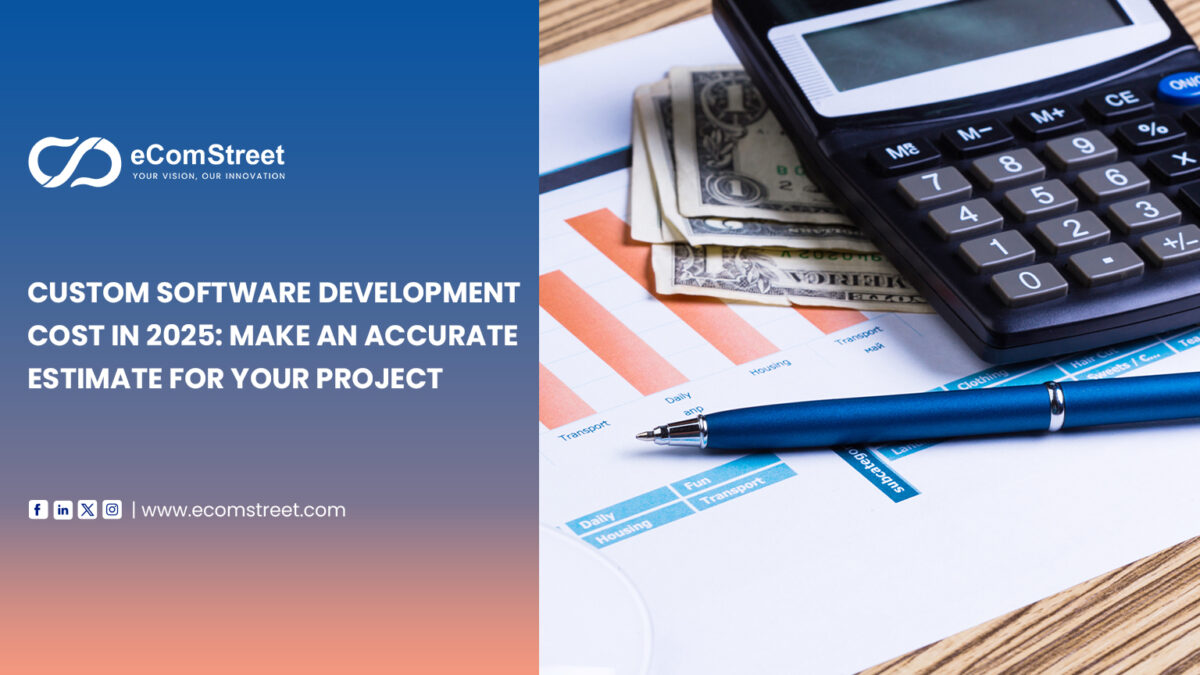 Custom software development cost